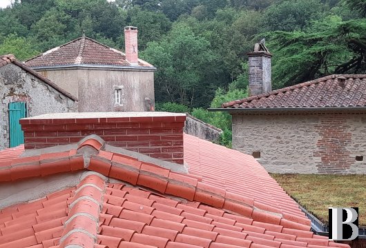 moulins a vendre pays de loire   - 14