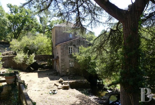 moulins a vendre pays de loire   - 4