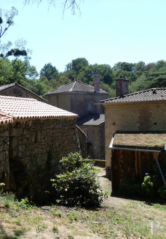 moulins a vendre pays de loire   - 3