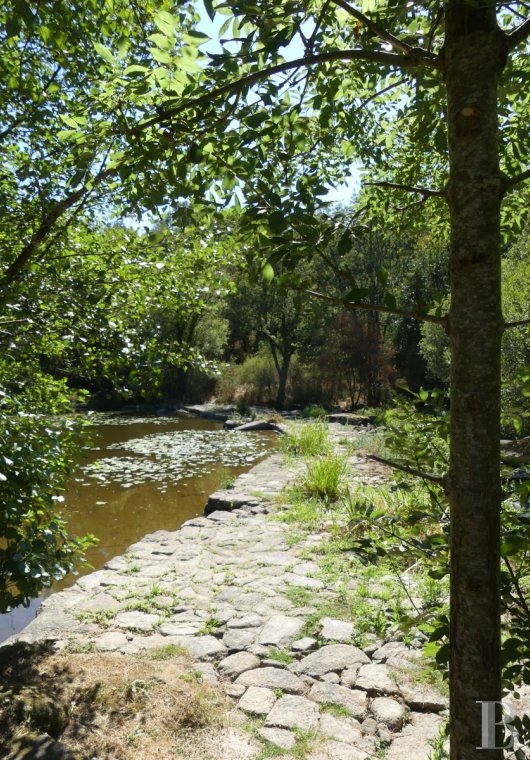 moulins a vendre pays de loire   - 11