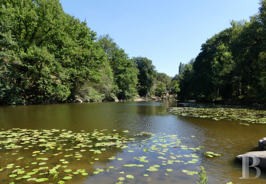 moulins a vendre pays de loire   - 16
