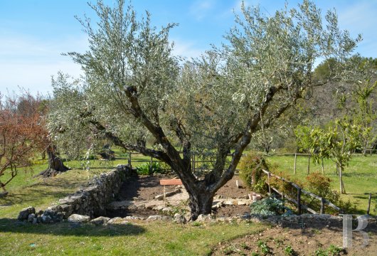 maisons de caractere a vendre paca   - 13