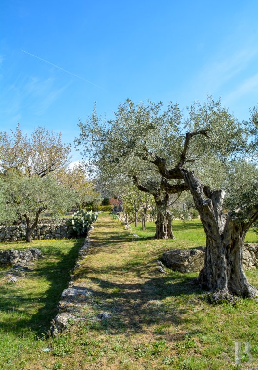 maisons de caractere a vendre paca   - 15