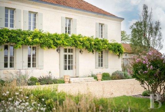 En Charente-Maritime, entre Saintes et Royan, un ancien domaine viticole converti en maison de famille - photo  n°2