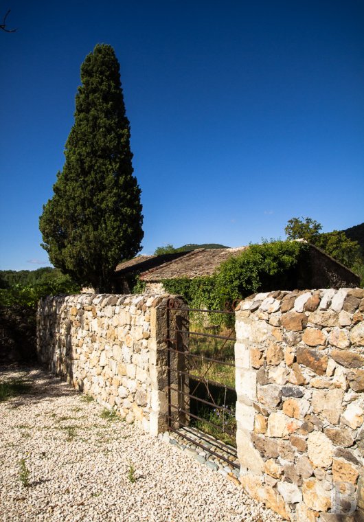 Dans le Gard, au sud d’Anduze, un vaste mas sur un domaine de 130 hectares - photo  n°30