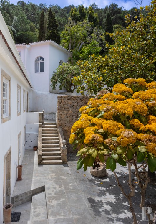 A proximité de Lisbonne, à l’entrée du parc naturel de Sintra-Cascais, une maison de village avec jardin, terrasses et patios - photo  n°6