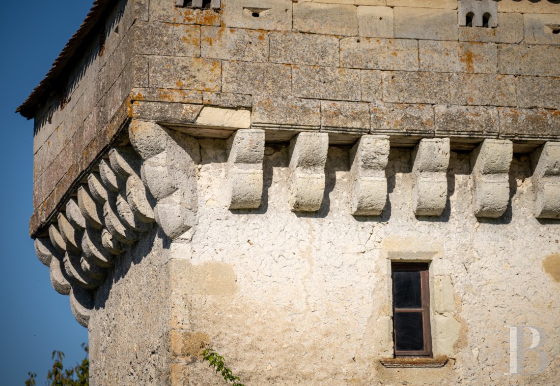 Au nord-est de la Gironde, en limite de la Dordogne, un château de famille du 11e siècle - photo  n°5