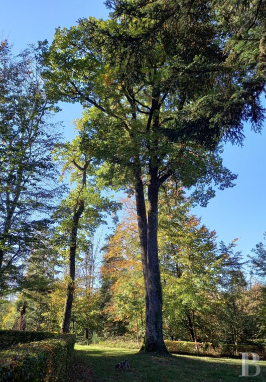 châteaux à vendre - rhones-alpes - Au nord-ouest de l'Isère, dans son manteau verdoyant, un château du 19e s. et son parc de 14,5 ha