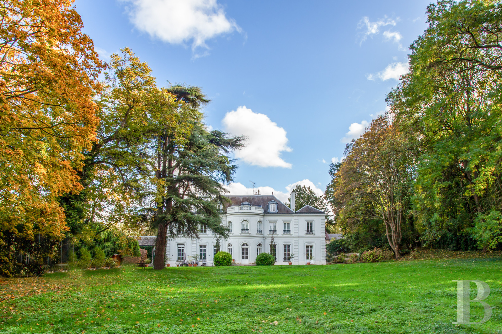 Chateau A Vendre Ile De France