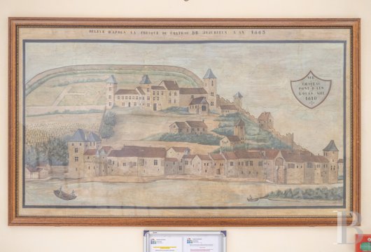 chateaux a vendre rhones alpes   - 3