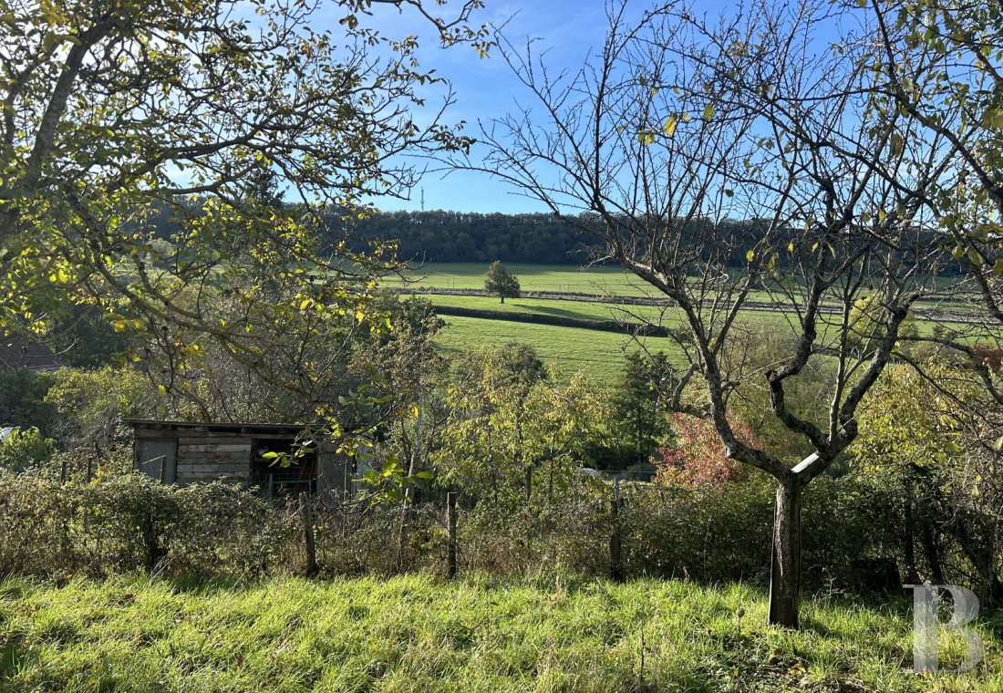 maisons de caractere a vendre bourgogne   - 12