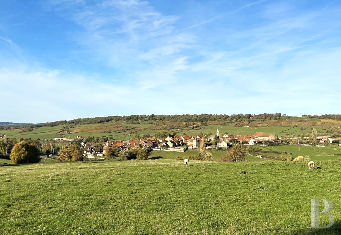 maisons de caractere a vendre bourgogne   - 13