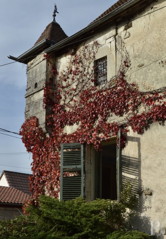 manoirs à vendre - lorraine - A la frontière entre Champagne et Lorraine, Un logis fortifié du 16ème siècle et ses dépendances