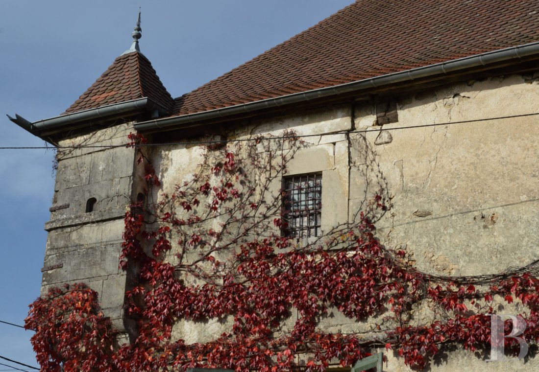 manoirs à vendre - lorraine - A la frontière entre Champagne et Lorraine, Un logis fortifié du 16ème siècle et ses dépendances