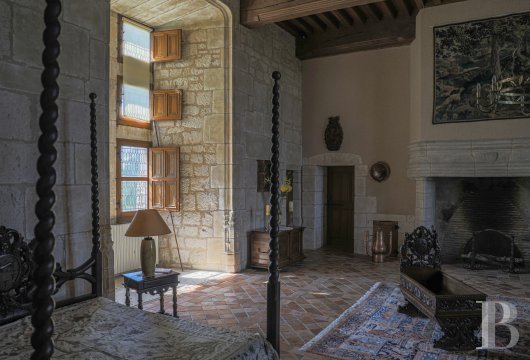 chateaux a vendre midi pyrenees   - 6