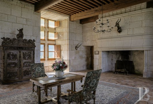 chateaux a vendre midi pyrenees   - 4