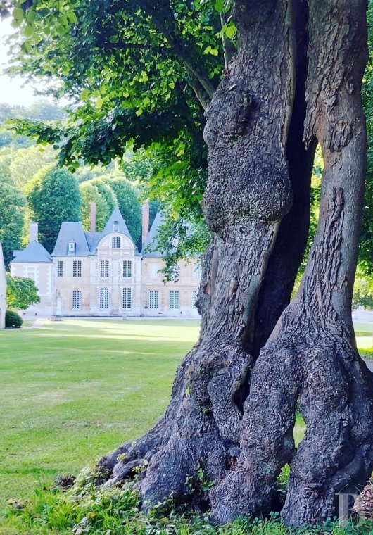 Au cœur du Parc Naturel Régional des boucles de la Seine, un château résumant à lui seul quatre cents ans d’architecture normande - photo  n°6