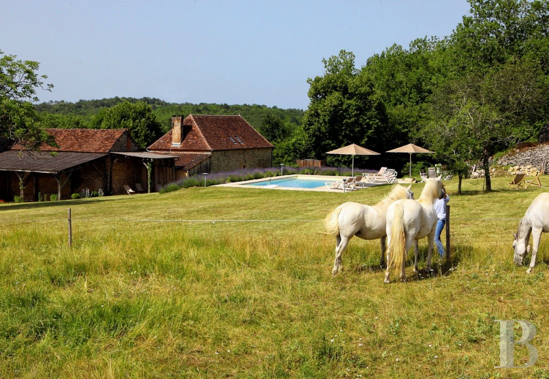 En Dordogne, une ancienne ferme rendant  hommage aux traditions du Périgord Noir - photo  n°8