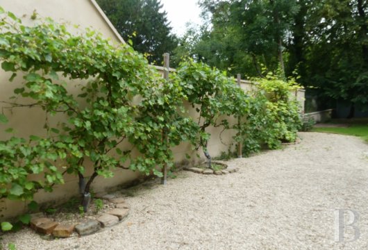 immobilier prestige bourgogne   - 15
