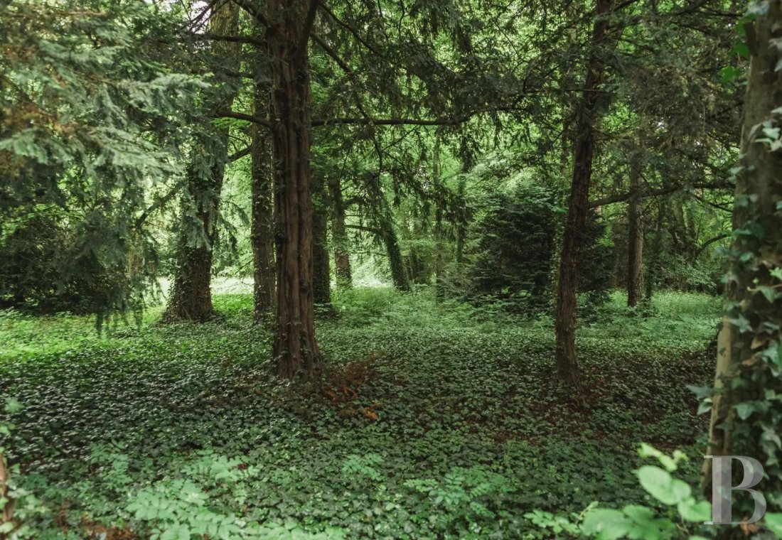 Au sud d’Auxerre, au bord de l’Yonne, un domaine du 18e s.  ouvert à toutes les villégiatures - photo  n°25