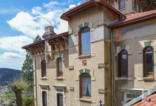immobilier prestige rhones alpes   - 3