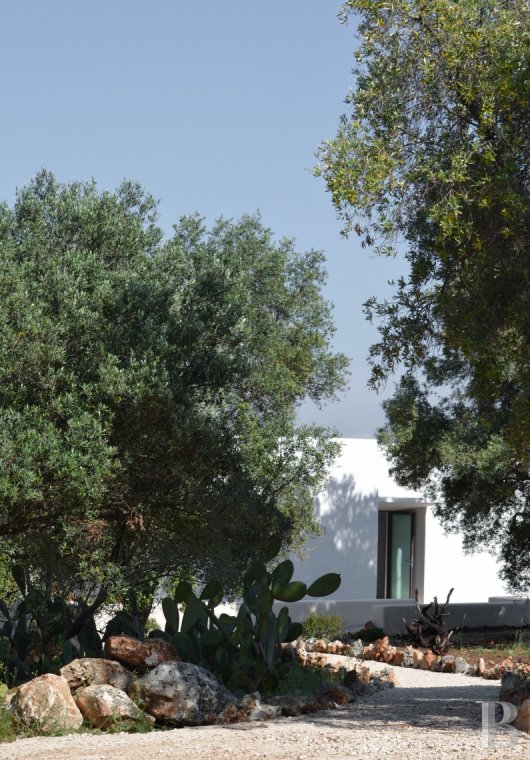 En Italie du sud, dans les Pouilles, ouverte à la villégiature, la Casa di Monti entre deux mers  et un  océan d'oliviers millénaires - photo  n°3