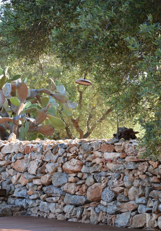 En Italie du sud, dans les Pouilles, ouverte à la villégiature, la Casa di Monti entre deux mers  et un  océan d'oliviers millénaires - photo  n°32