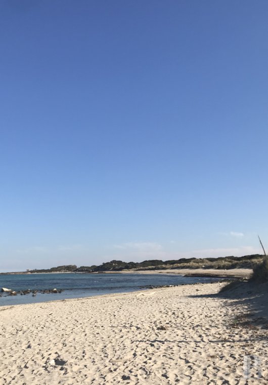 En Italie du sud, dans les Pouilles, ouverte à la villégiature, la Casa di Monti entre deux mers  et un  océan d'oliviers millénaires - photo  n°46