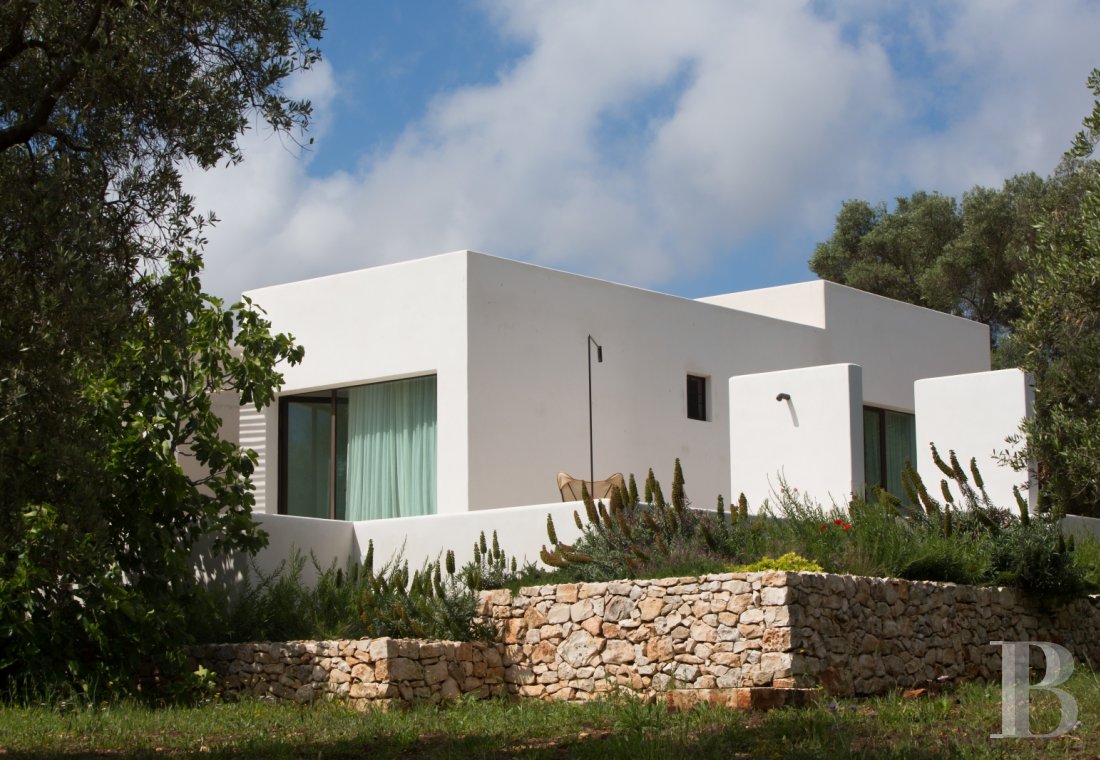 En Italie du sud, dans les Pouilles, ouverte à la villégiature, la Casa di Monti entre deux mers  et un  océan d'oliviers millénaires - photo  n°1