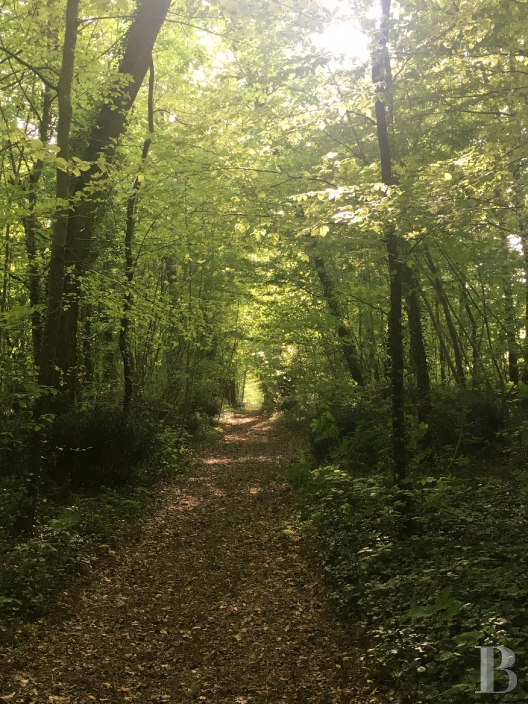 Patrice Besse - Tournages-Prises de vues - Ile-de-France - En lisière ...
