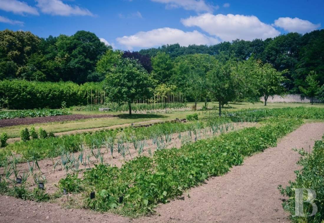En Bourgogne, dans l’Yonne, un château du 17e siècle ouvert à tous les arts et toutes les cultures - photo  n°6