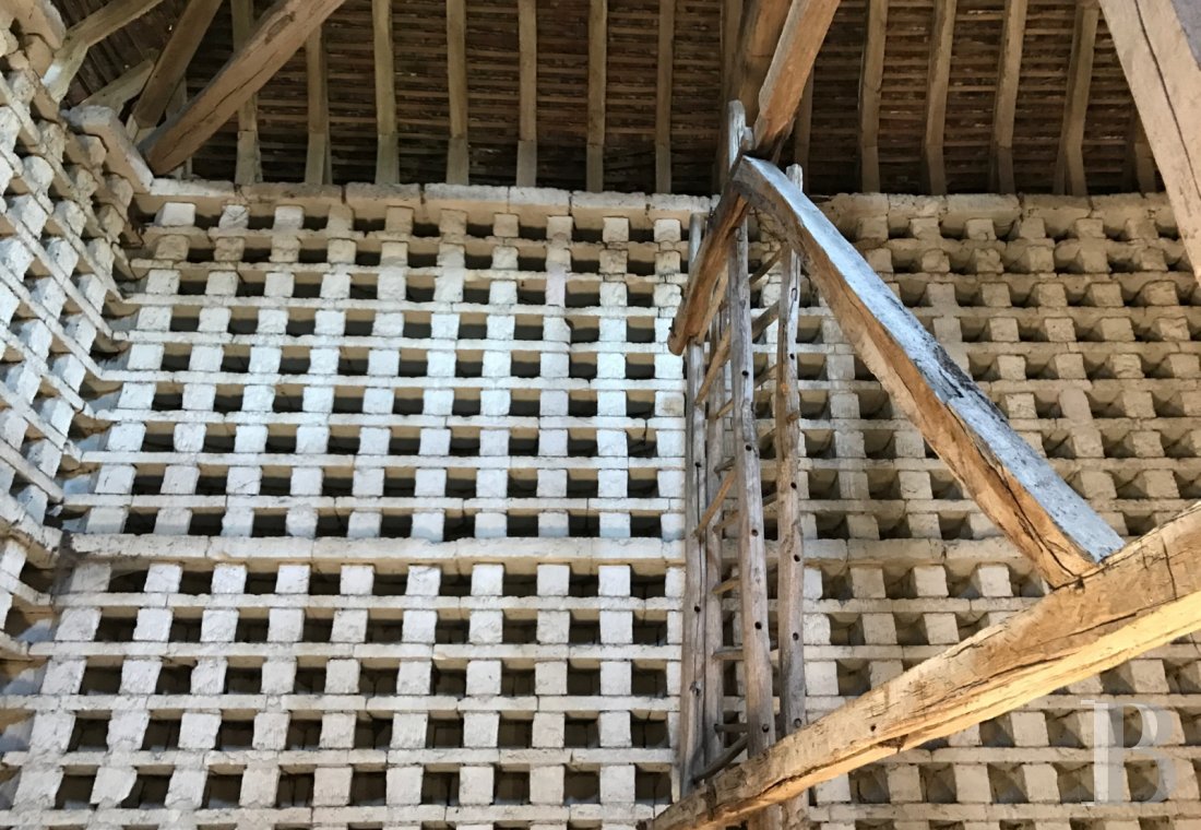 En Bourgogne, dans l’Yonne, un château du 17e siècle ouvert à tous les arts et toutes les cultures - photo  n°13
