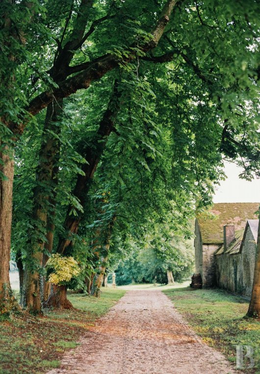 Dans l’Orne,  un majestueux château classique du 18e siècle et son ancienne maison de chef de culture  au milieu de ses terres - photo  n°9