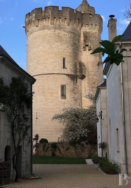 En Anjou, à l’ouest de Saumur,  un ancien presbytère du 18e siècle en bord de Loire pour de calmes séjours - photo  n°2