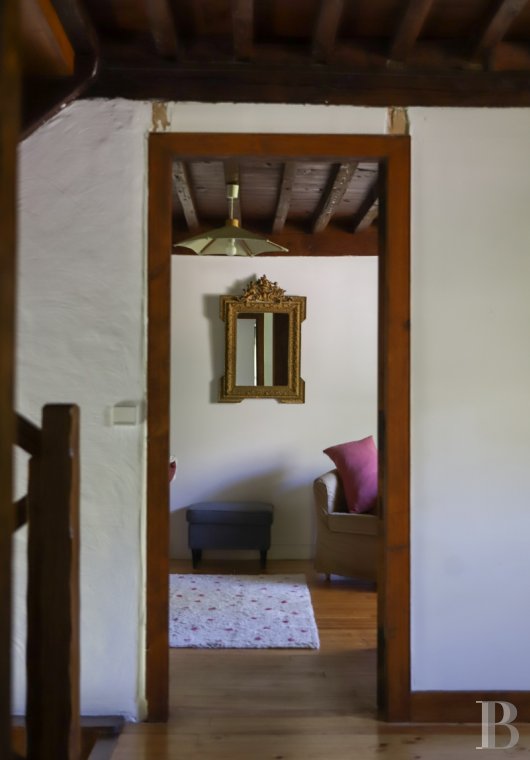 En Bigorre, dans les Hautes-Pyrénées, un domaine préservé à mi-chemin entre Lourdes et la frontière espagnole - photo  n°17
