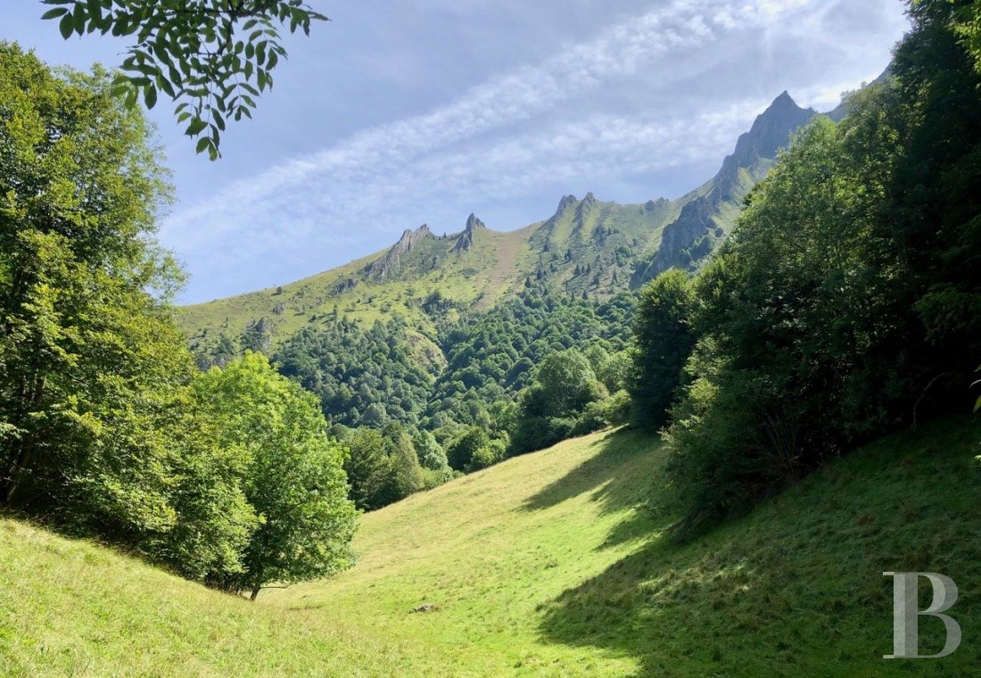 En Bigorre, dans les Hautes-Pyrénées, un domaine préservé à mi-chemin entre Lourdes et la frontière espagnole - photo  n°39