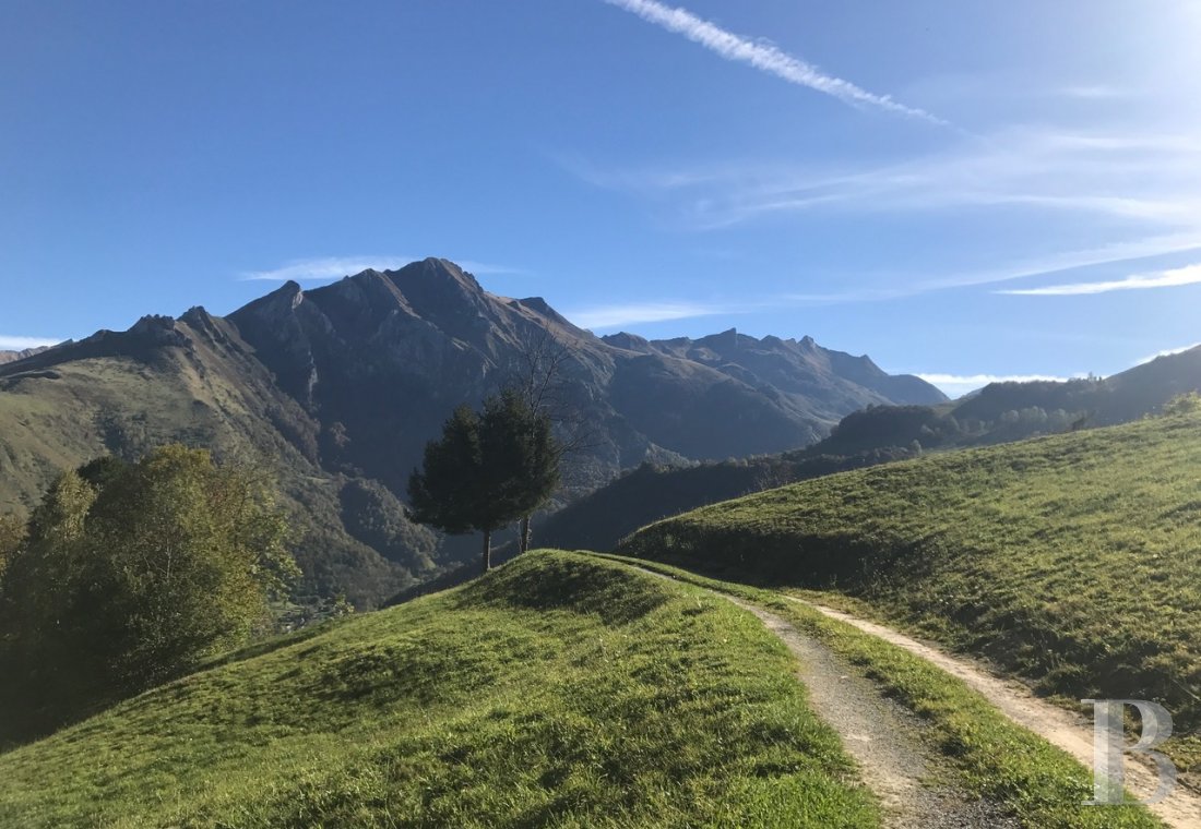 En Bigorre, dans les Hautes-Pyrénées, un domaine préservé à mi-chemin entre Lourdes et la frontière espagnole - photo  n°6