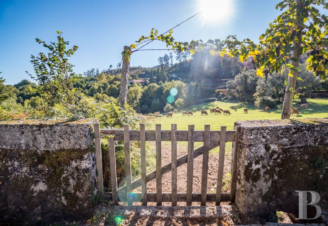 Au nord du Portugal, à Cabeceiras de Basto, un ancien domaine rural converti en six maisons d’hôtes - photo  n°5