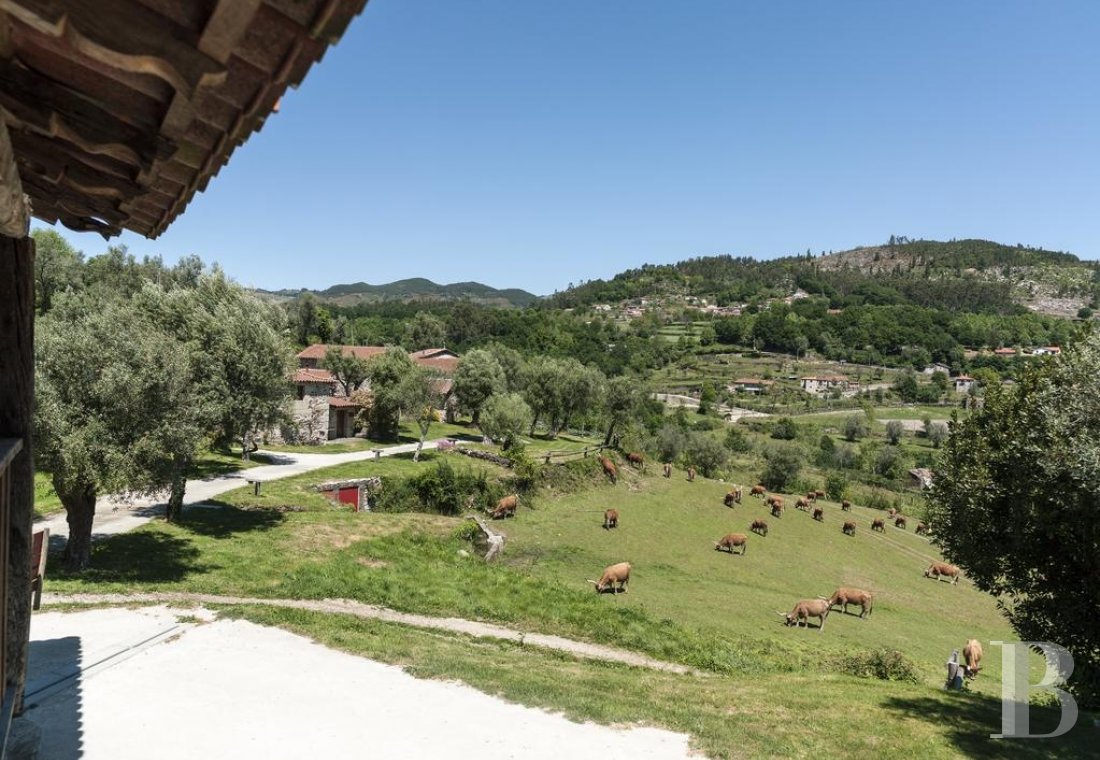 Au nord du Portugal, à Cabeceiras de Basto, un ancien domaine rural converti en six maisons d’hôtes - photo  n°9