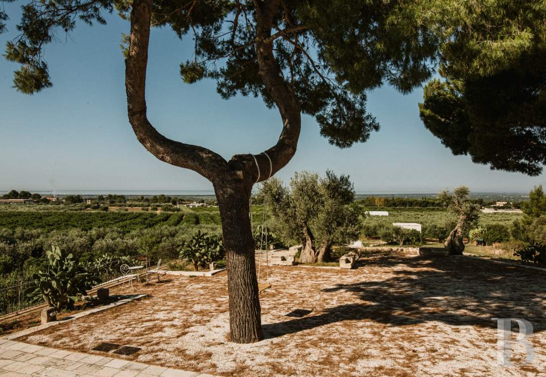 Dans les Pouilles, près de Massafra, une ancienne masseria aux allures patriciennes - photo  n°5