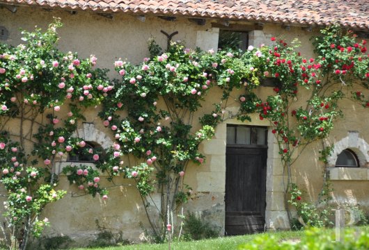 En Dordogne, au nord-ouest de Périgueux,  un manoir niché au creux des collines - photo  n°14