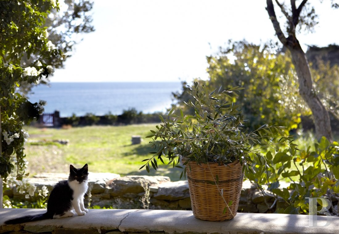 À Tinos, dans les Cyclades,  trois anciennes bergeries en bord de mer unies par un bel esprit - photo  n°7
