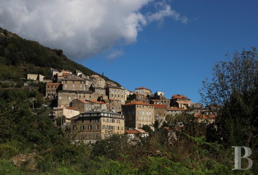 En Haute-Corse,  une maison du 18e siècle dans un environnement préservé - photo  n°25