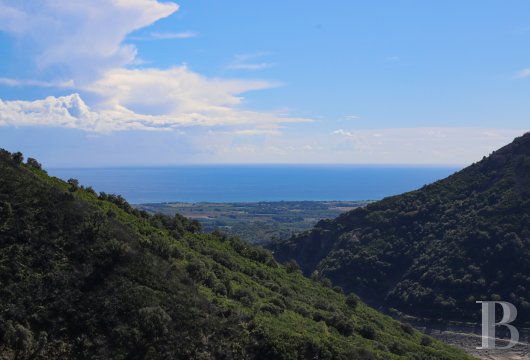En Haute-Corse,  une maison du 18e siècle dans un environnement préservé - photo  n°26