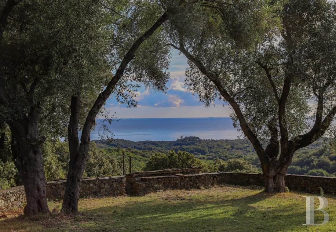 En Haute-Corse,  une maison du 18e siècle dans un environnement préservé - photo  n°4