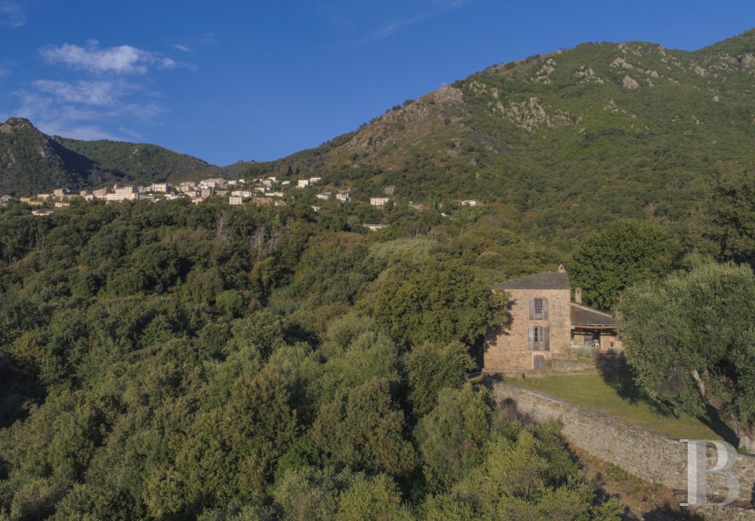 En Haute-Corse,  une maison du 18e siècle dans un environnement préservé - photo  n°24