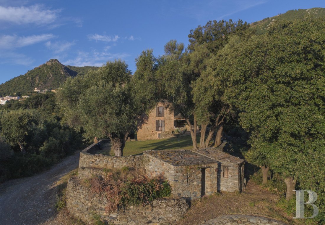 En Haute-Corse,  une maison du 18e siècle dans un environnement préservé - photo  n°3