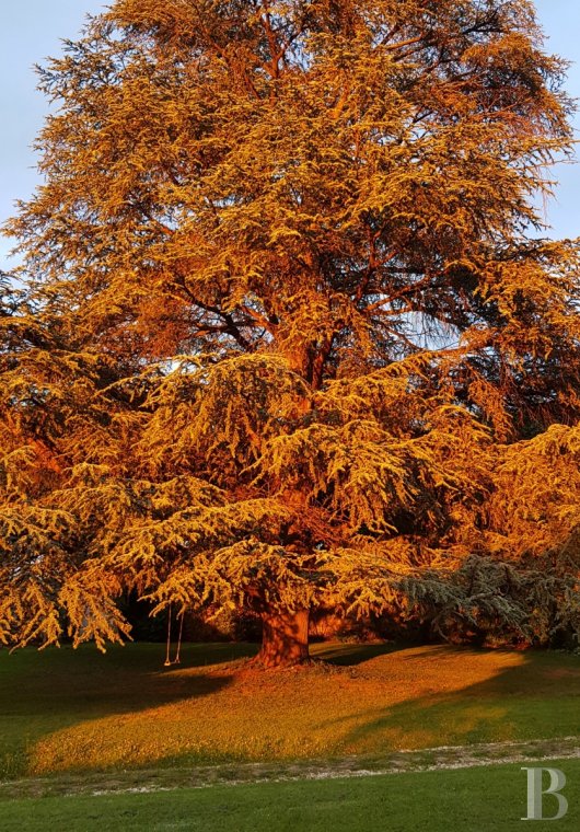 Au nord de la Bourgogne, dans le pays de Puisaye, l’ancienne demeure d’un peintre inspiré par la nature - photo  n°20
