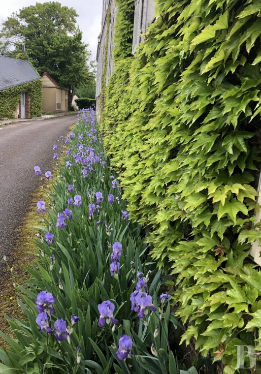 Au nord de la Bourgogne, dans le pays de Puisaye, l’ancienne demeure d’un peintre inspiré par la nature - photo  n°2