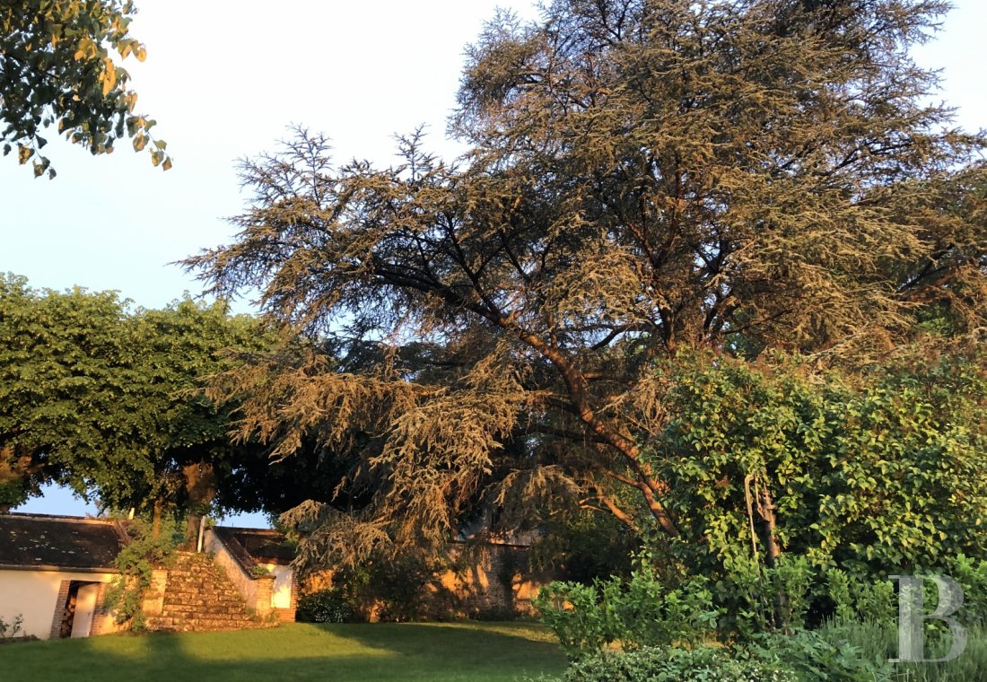 Au nord de la Bourgogne, dans le pays de Puisaye, l’ancienne demeure d’un peintre inspiré par la nature - photo  n°23